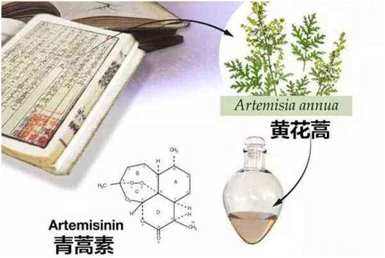 买球,买球（中国）：向中医药看齐，与世界共享中医药文化(图1)